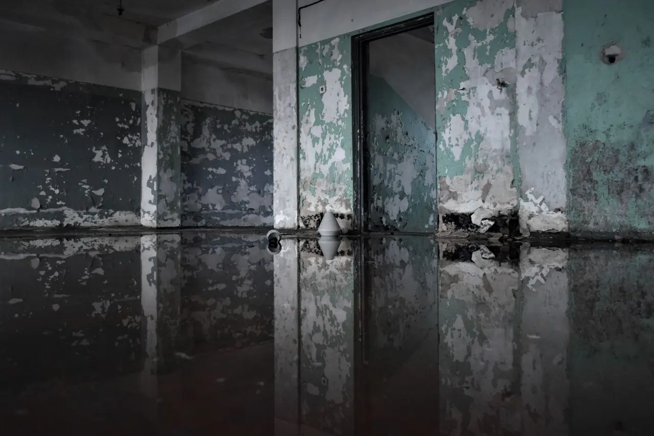 Crawl Space Flood Cleanup in Arlington Heights